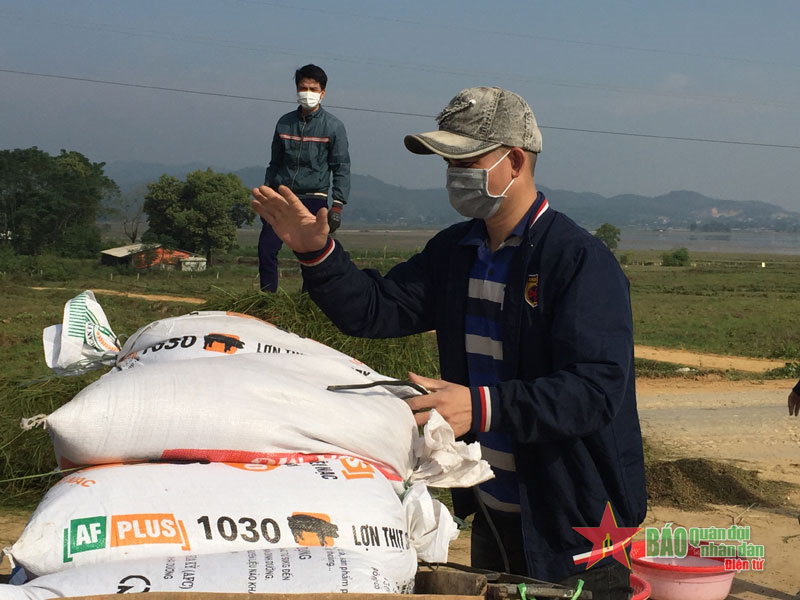  “Ngày hội” gặt lúa ở Thắng Sơn